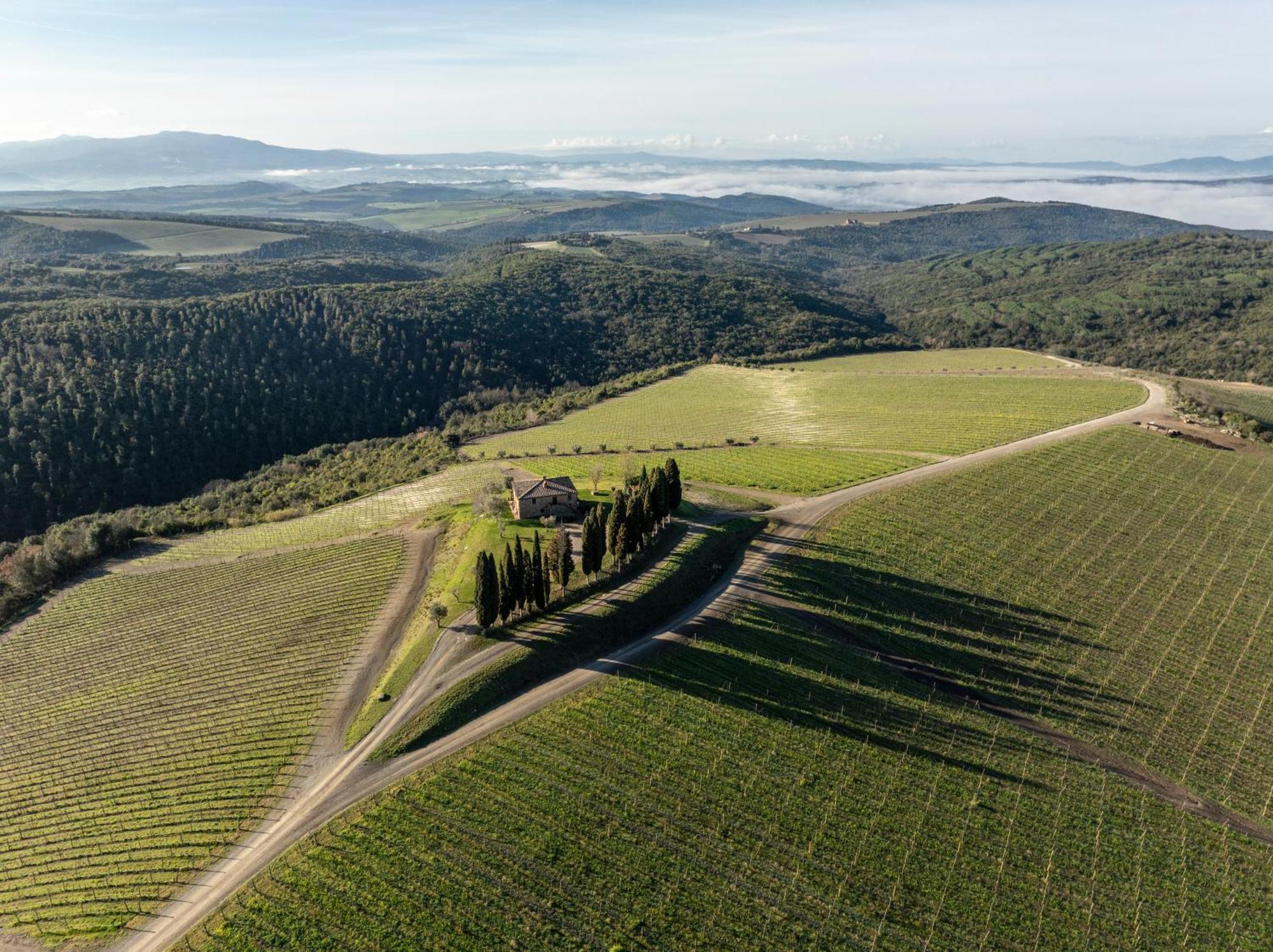 Rosewood Castiglion Del Bosco Hotel Montalcino Exterior foto